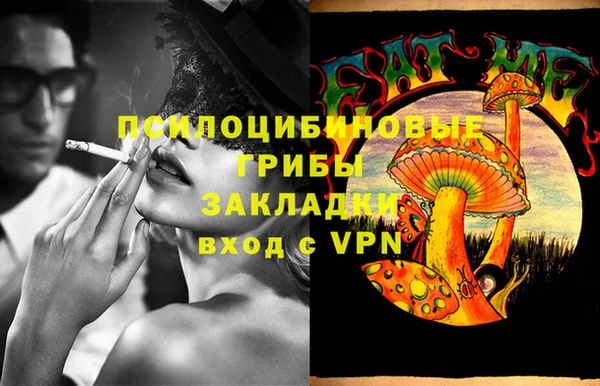 прущая мука Алзамай